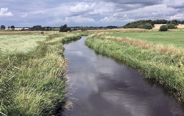 Lerkenfelt Å Gedsted