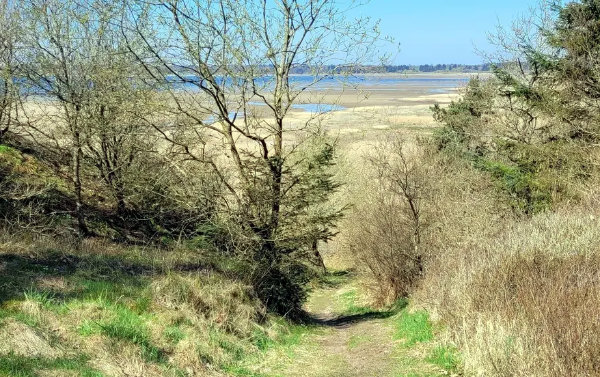 Paradiset i Gedsted